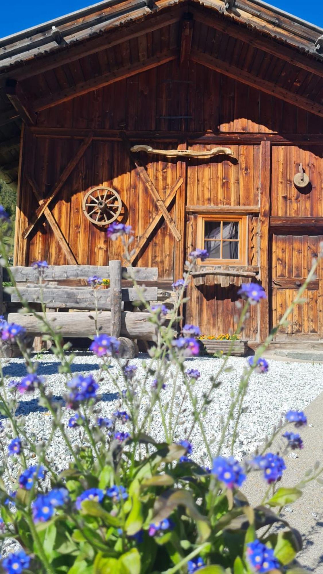 Gasserhof Campo di Trens Εξωτερικό φωτογραφία