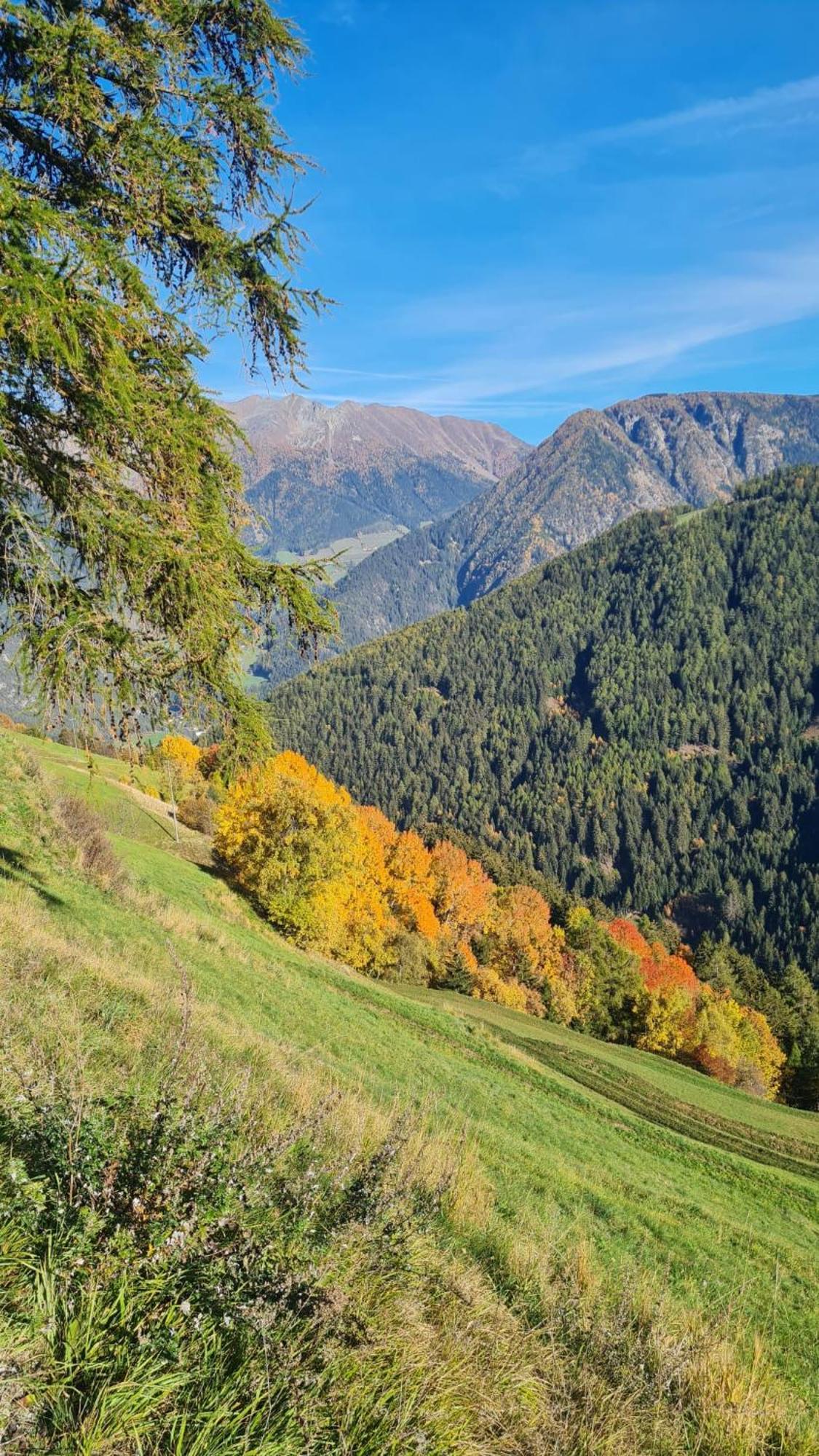 Gasserhof Campo di Trens Εξωτερικό φωτογραφία